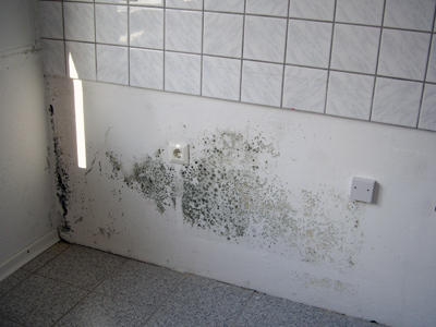 Schimmel hinter Küchenzeile